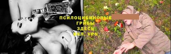 соль ск Инта