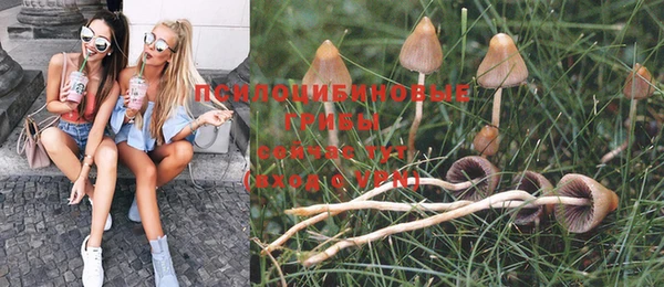 трава Иннополис
