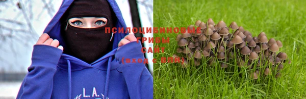 соль ск Инта