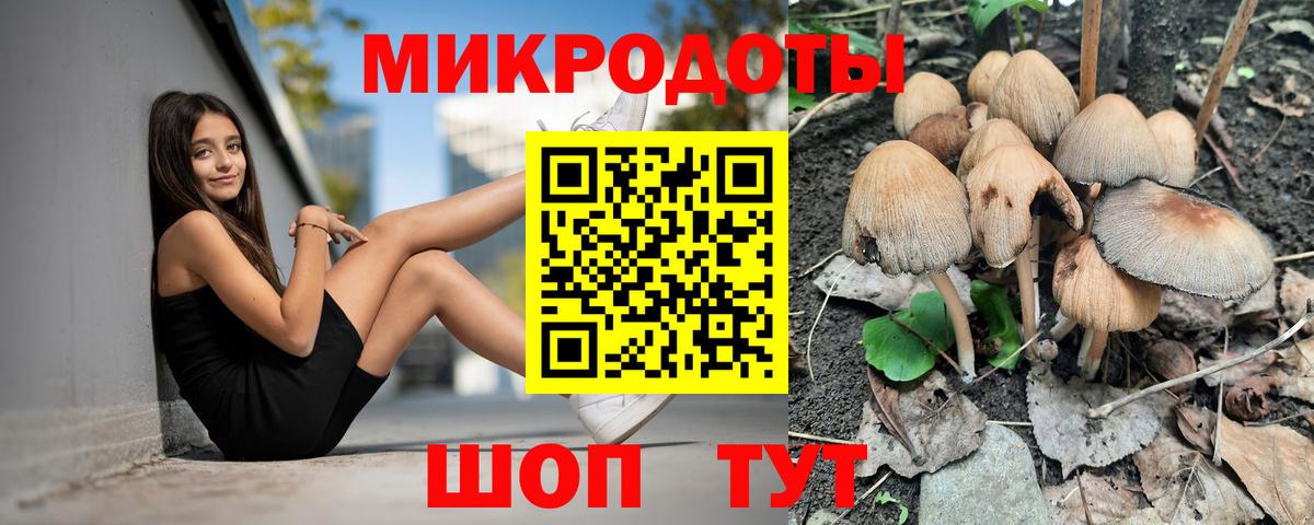 Псилоцибиновые грибы Cubensis Самара