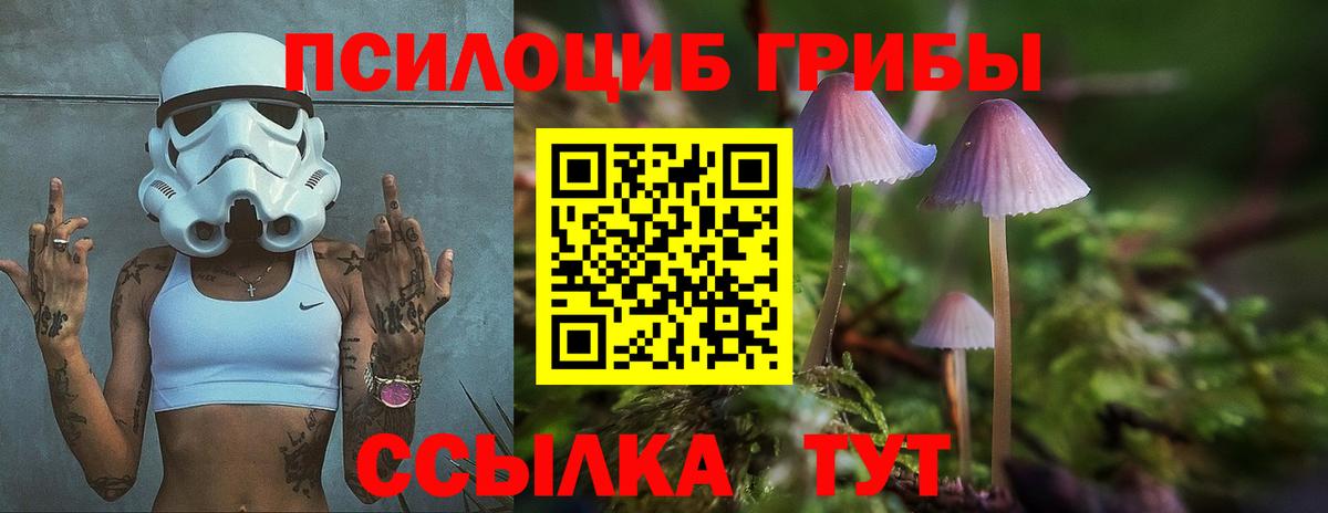 Галлюциногенные грибы прущие грибы  Галлюциногенные грибы мухоморы  Вход с VPN  закладки  Самара 